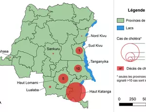 Le Choléra en République Démocratique du Congo : semaine 6, 2019 