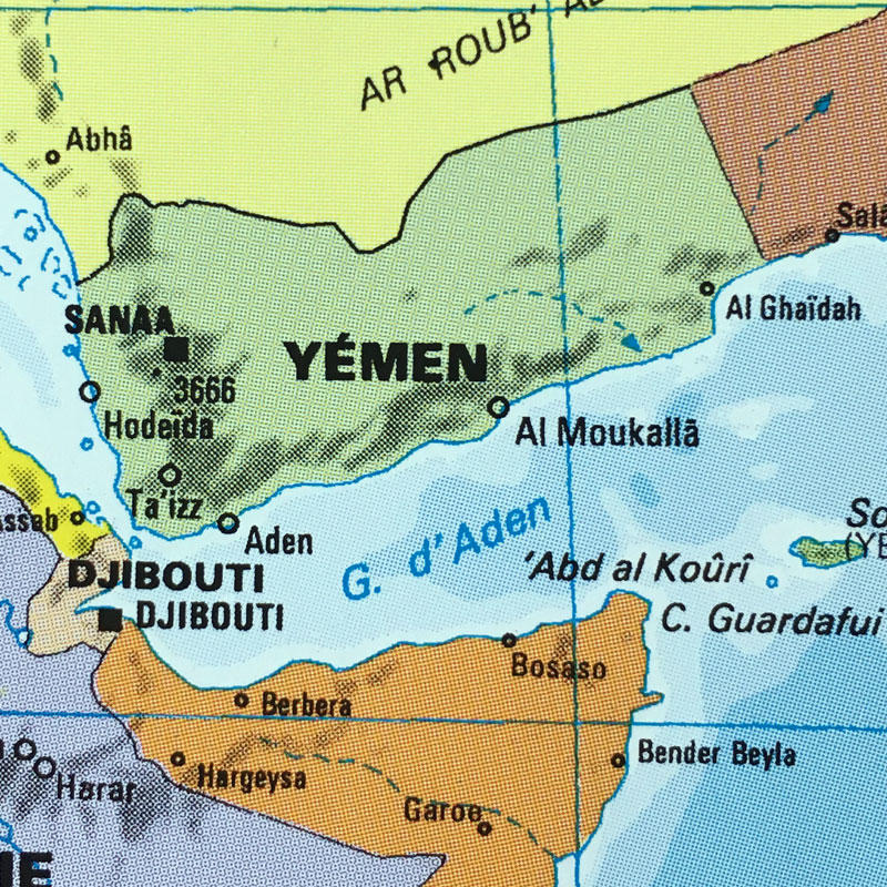 L’épidémie de choléra au Yémen : aperçu et situation actuelle