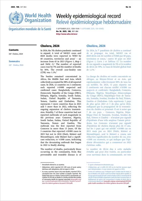 WHO. Global situation report for cholera: 2024