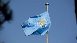 World Health Organization Flag